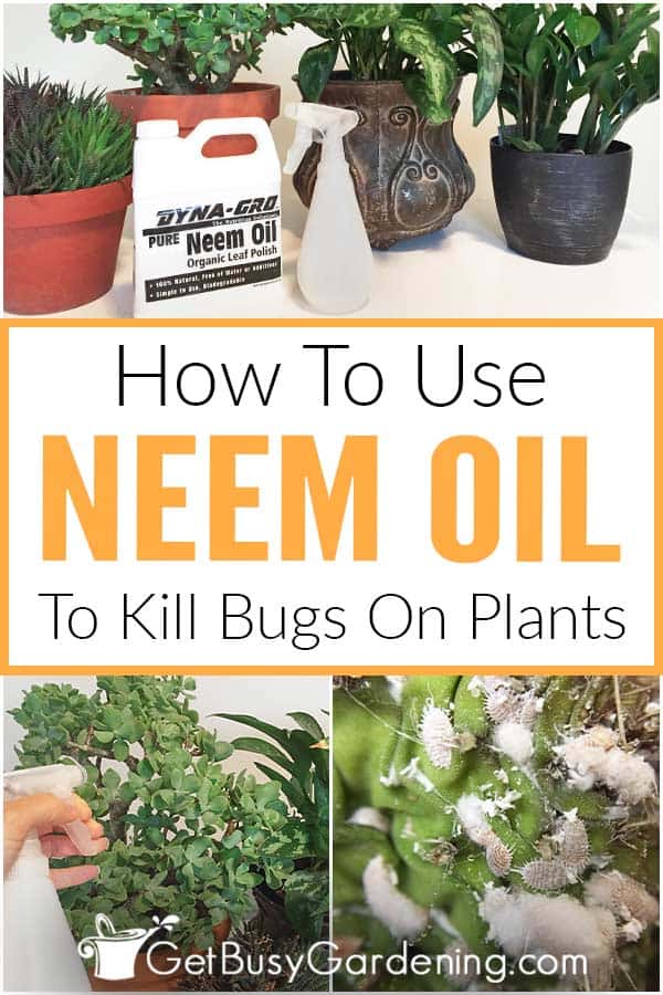 How Do I Use Neem Oil On My Plants