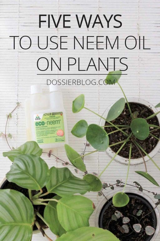 How Do I Use Neem Oil On My Plants